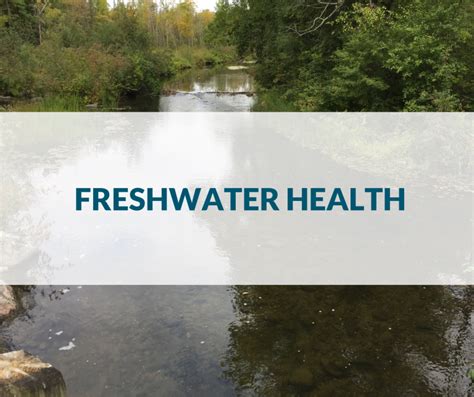 Fish Habitat Toolkit Resources Watersheds Canada Work Live