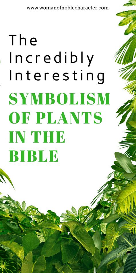 The Incredibly Interesting Symbolism Of Plants In The Bible Bible