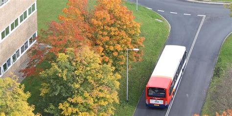 Underpass Reopens For Use Lancaster University