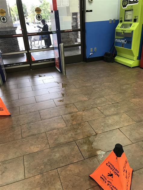 Leave Your Damn Dog At Home Rdogfree