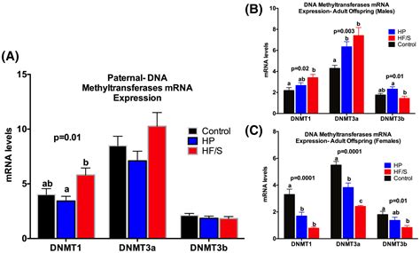 Paternal High Protein Diet Modulates Body Composition Insulin