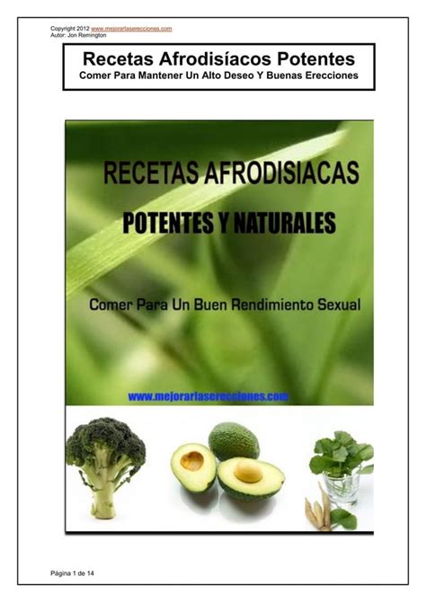 Recetas Afrodisiacas PDF