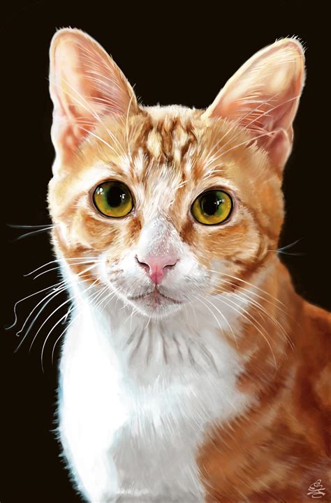 Realistic Cat Portrait by CrypticManifestation on DeviantArt