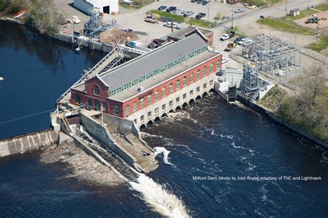 Penobscot Dam Owner Violating Federal Endangered Species Act