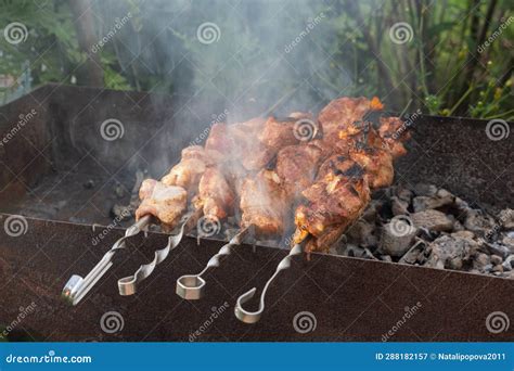 Barbecue On Skewer Fresh Meat Shish Kebab Prepared Stock Image Image