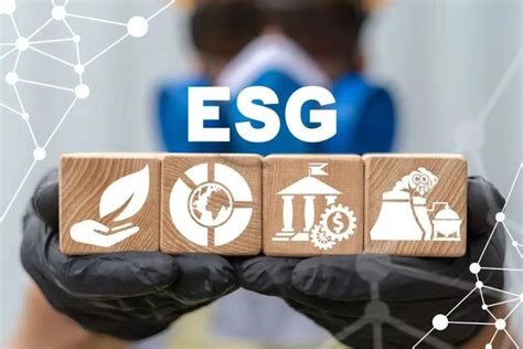 深交所esg信息披露的规则及履行 深交所 Esg 新浪新闻