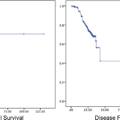 Overall Survival Os And Disease Free Survival Dfs Download Scientific Diagram