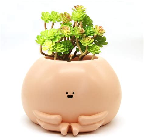 Amazon Poranlem Face Plant Pot Indoor Resin Cute Unique Flower