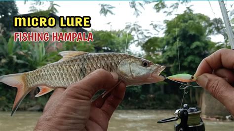 Micro Lure Fishing Hampala Youtube