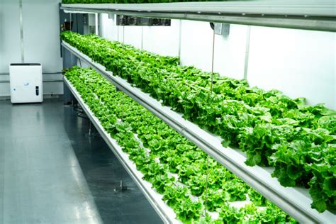 Automated Vertical Container Farms Grow Pod Solutions