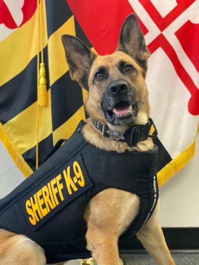 Anne Arundel County Sheriffs Office K9 Siren Receives Body Armor