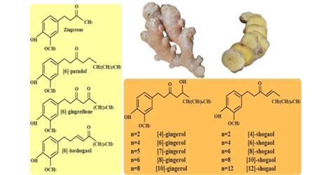 Chemical Structure Of Major Components Of Ginger Download Scientific