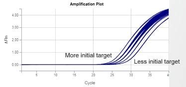 Understanding Ct Values In Real Time Pcr