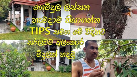 ලේසියෙන්ම අපේ පුංචි ගෙමිදුල අපි පිලිවෙල කරගත්ත හැටි How We Arranged