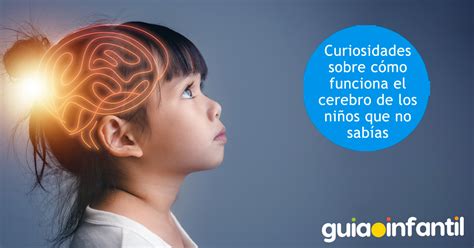 Datos Curiosos Sobre El Funcionamiento Del Cerebro Infantil Para