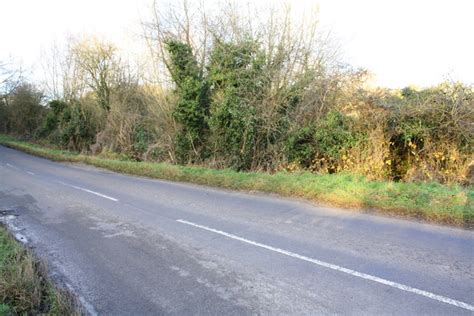 Parapet Of Bridge Behind Roadside Bushes © Roger Templeman Geograph