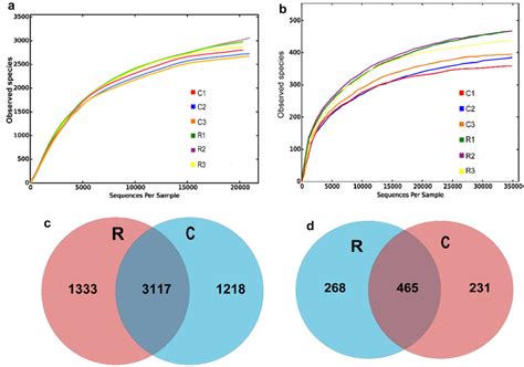 Rarefaction Curves And Venn Diagram A B Rarefaction Curves For The