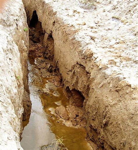 El Drenaje De Los Suelos Tipos De Drenes Y C Mo Hacerlos