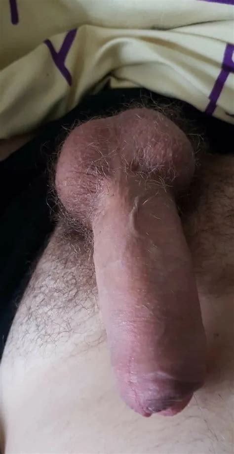 My Size Nude Pics XHamster