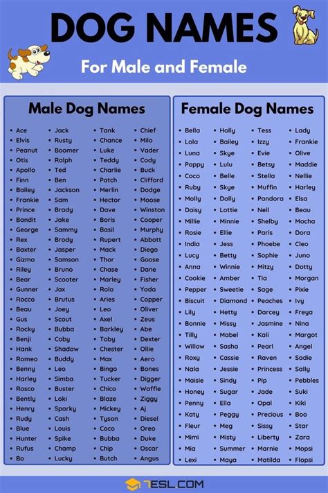 Pin by E&O on Baby Names | Dog names, Female dog names, Dog names unique