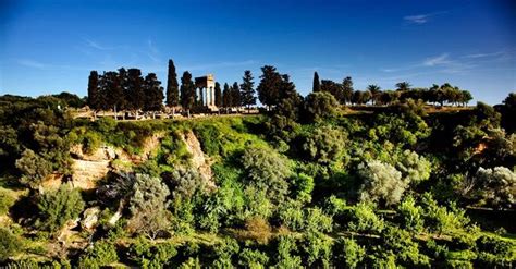 Il Parco Della Valle Dei Templi Si Rifà Il Look In Arrivo Settecento