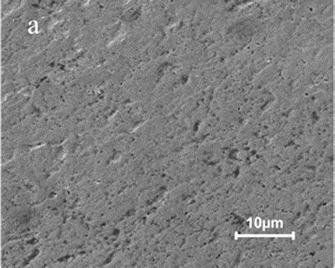 Sem Micrographs Of The Surface Morphology Of Uncoated Ag Contact Group