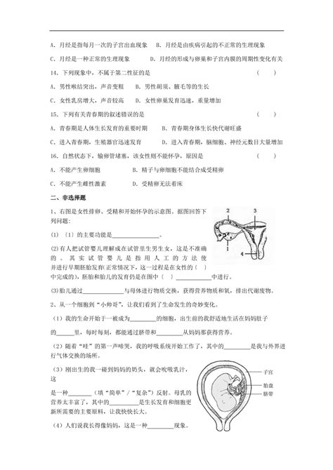 北师大版生物八年级上册191——人的生殖和发育 练习题 试卷后含答案 好学电子课本网