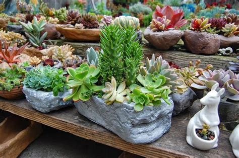 47 Succulent Planting Ideas With Tutorials Succulent Garden Ideas