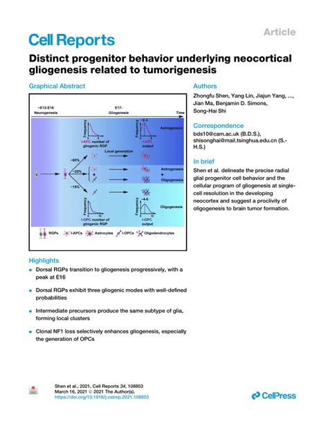 Pdf Distinct Progenitor Behavior Underlying Neocortical Gliogenesis