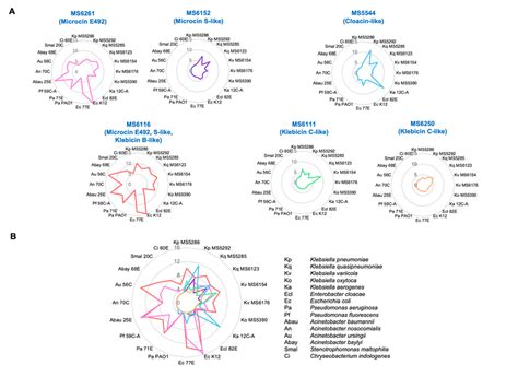 Antibacterial Pattern Of Each Bacteriocin Type The Diameters Of Growth