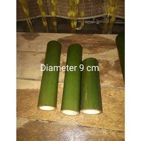 Jual Potongan Bambu Jumbo A Ruas 2 Diameter 10 Cm Jakarta Timur