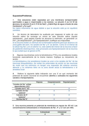 Tema 9 La circulación apuntes Tema 9 Fisiología del Sistema