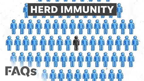 Covid 19 How Herd Immunity Works Why You Still Need To Wear A Mask