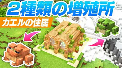 温帯＆寒帯カエルの住居を建築する！二種類のカエル増殖所【マインクラフト】マイクラ実況 71 - YouTube