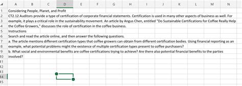 Ct Auditors Provide A Type Of Certification Of Chegg