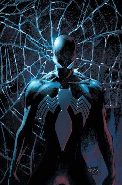 Black Spider Man Wallpapers On Wallpaperdog