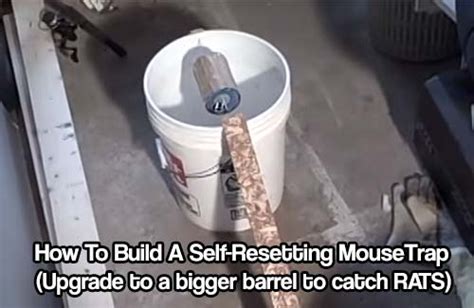 How To Build A Self Resetting Mouse Trap Upgrade To A Bigger Barrel To