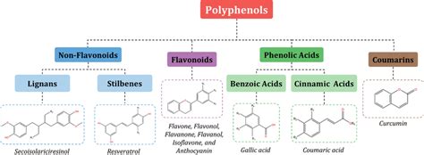 Schematic Representation Of Different Classes Of Polyphenols