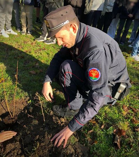 Il Contributo Del Comando Gruppo Carabinieri Forestali Di Ravenna Alla