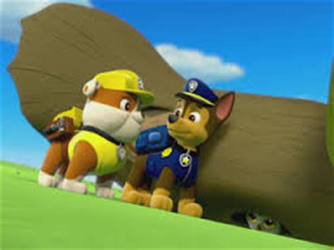 Pups Save a Bat - PAW Patrol Wiki