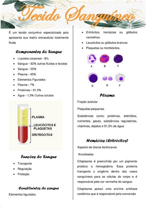 Mapas Mentais sobre TECIDO SANGUÍNEO Study Maps