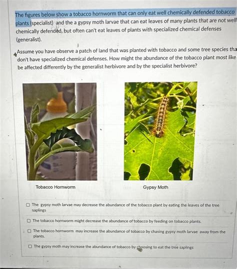 Solved The Figures Below Show A Tobacco Hornworm That Can Chegg