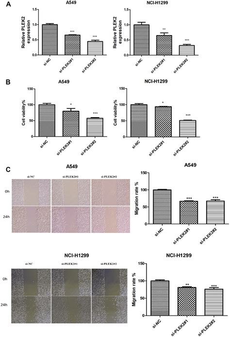 Identification Of Epithelial Mesenchymal Transition Related Biomarkers