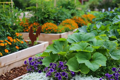 Vegetable Gardening In A Small Space