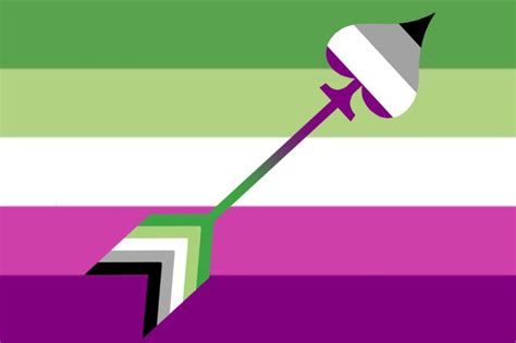 I Made A Flag From A Combination Of Ones I Found Online Aromanticasexual