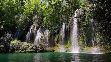 Naturaleza, bosque, flores y cascadas |Landscapes| Relajación - YouTube