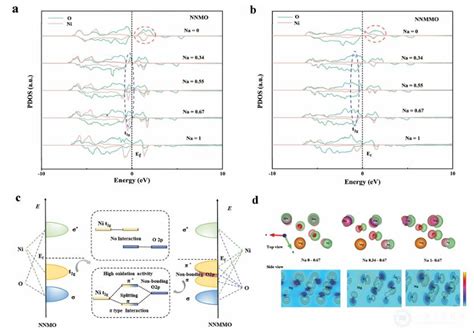 数理学院巨新、万初斌团队在《advanced Functional Materials》国际顶级期刊发表学术论文 北京科技大学新闻网