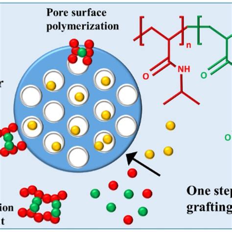 Schematic Representation Of The One Step Grafting Reaction Of