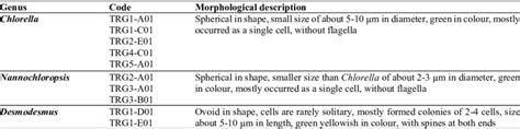 Classification of microalgae samples according to morphological ...