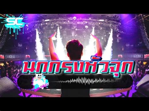 ReMix 2023 Song Dance Tik Tok นกกรงหวจก Remix By Dj Sun Chhay